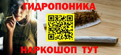 спиды Свободный